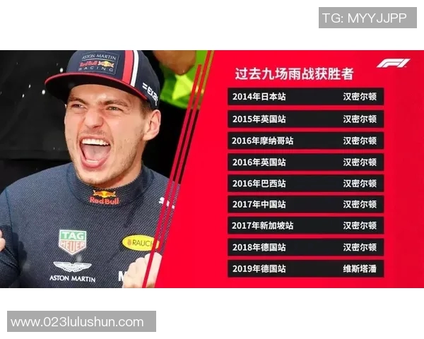 奥地利与匈牙利对决前瞻分析双方实力与战术布局探讨