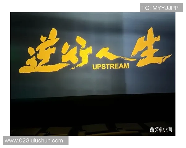 张昊：从平凡到卓越的奋斗历程与人生启示