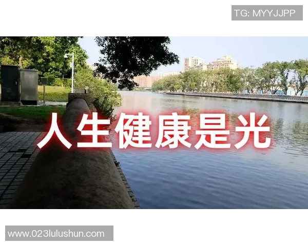 苏伟的奋斗历程与人生哲学：从平凡到卓越的心路历程分享